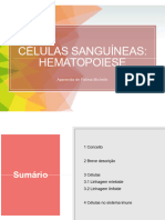 Aula 1 Hematopoiese e Sistema Imune