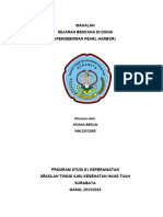 RPL - Afiana Berlin - Sejarah Bencana Di Dunia