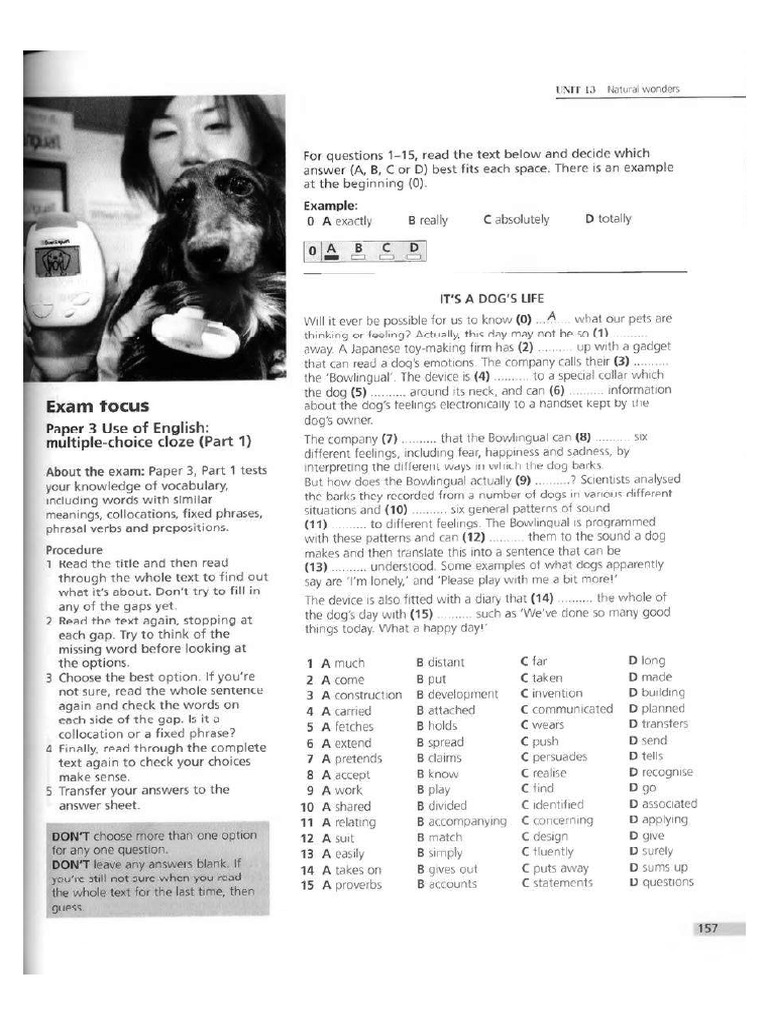 Dogslife | PDF