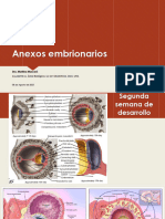 Clase Anexos Embrionarios 080823