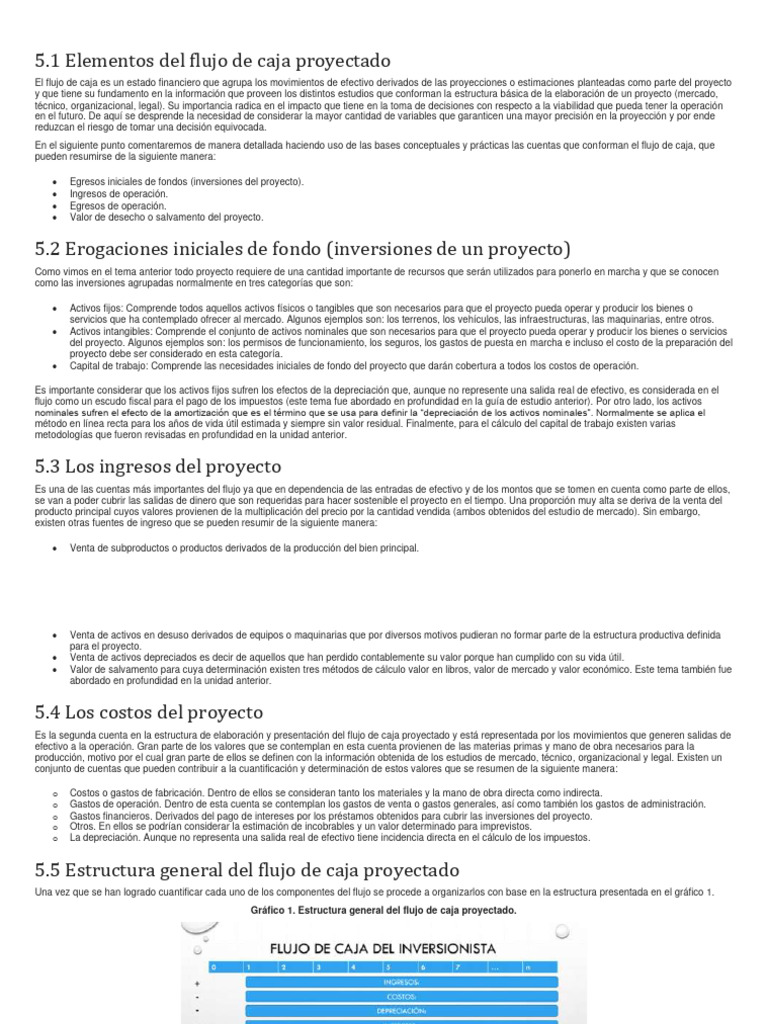 Componentes Del Flujo de Caja Proyectado | PDF | Depreciación | Economias