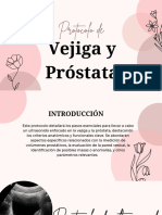 Protocolo de Ultrasonido de Prostata y Vejiga