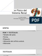 Examen Físico Renal