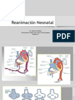 Reanimación Neonatal