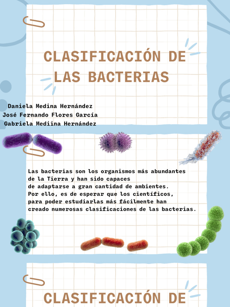 Clasificación de Las Bacterias Segun Su Morfolia y Sus Flagelos | PDF ...