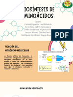 Biosintesis Aminoácidos - Equipo - 3