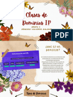 Clases de Dominios Ip