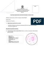 Annotated-Informe N°4 Bacterias Anaerobias BIOL251 - 2023