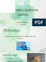 Helmintos y Acaros - PPTX - 20231118 - 102738 - 0000