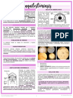 Anquilostomiasis (Ap)