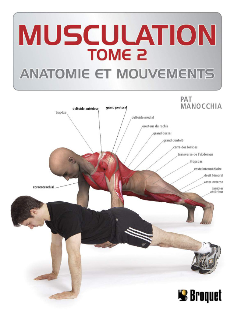 2278 Musculation Tome 2 Pat Manocchia | PDF | Appareil locomoteur ...