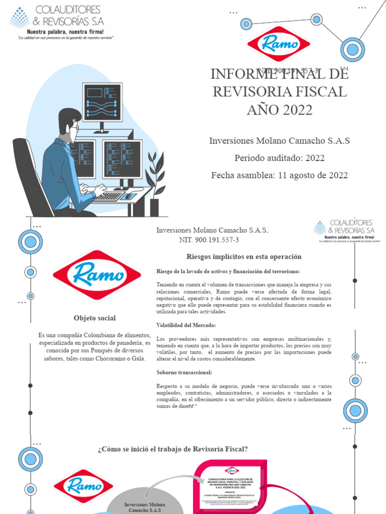 Copia De Trabajo Informe Final Revisor Fiscal Pdf Auditoría