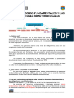 Ficha 15 PE-Los Derechos y Deberes constitucionales-FR