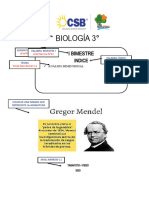 Ficha N03 de Lenguaje CSB 4 Grado 2022