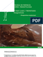 II Fase Clase 2 Paragónmos