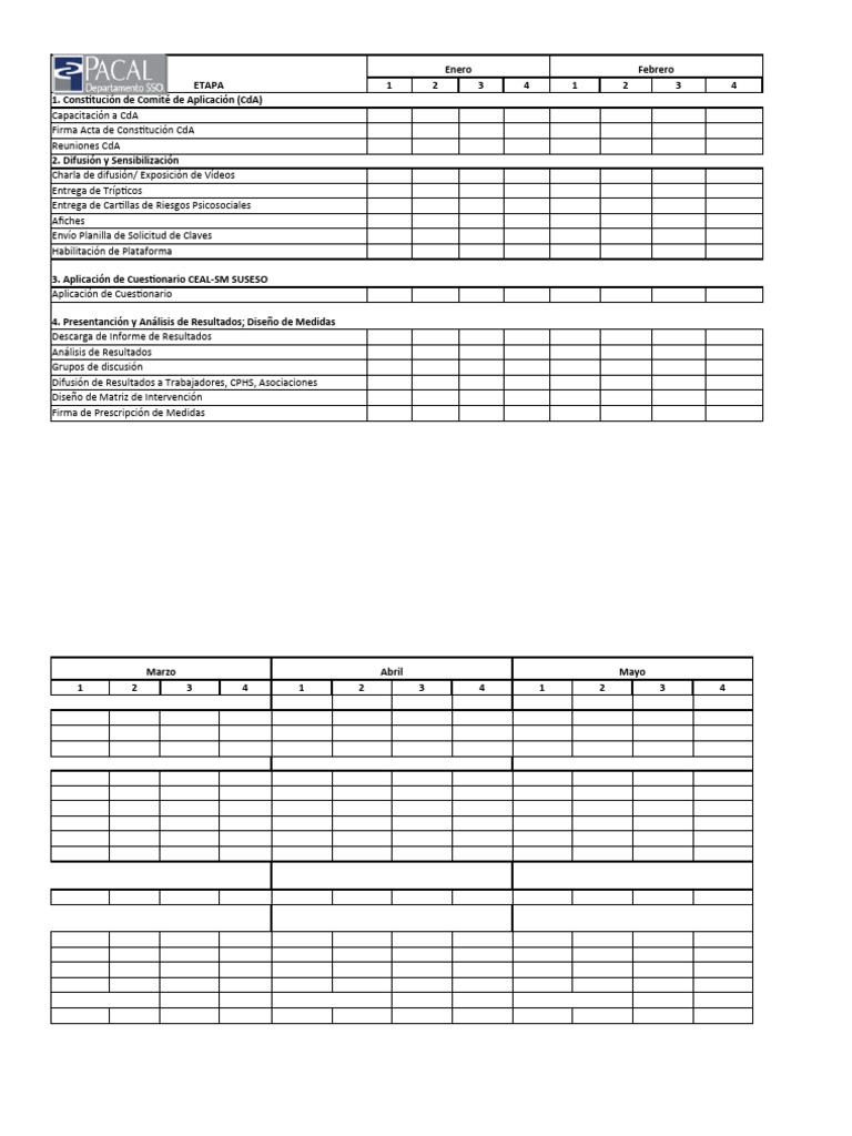 Formato carta gantt psicosocial pdf