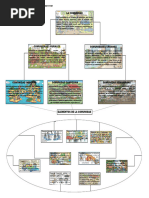 Tipos de comunidades y ejemplos | PDF | Comunidad | Science