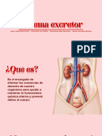 h2mKmN4DRngAC9AfyT09 632.541.383-09 (1) - Anatomia I