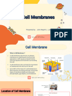 Cell Membrane