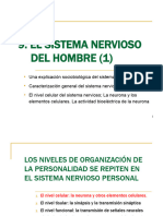 Pbg9-El Sistema Nervioso Del Hombre-1