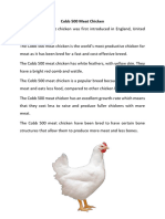 Combined Chicken Analysis File