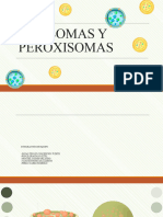 LISOSOMAS Y PEROXISOMAS Expo 