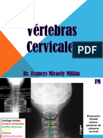 Anatomia Radiologica - Imagenes de Examen Teorico Practico