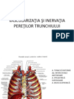 VSZ Ivt Trunchiului