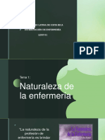 1-Naturaleza de Enfermería.1