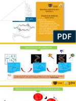 Replicacion - Biología