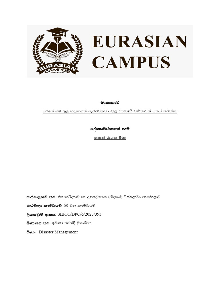 Sinhala Assignment Guidelines | PDF
