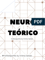 Neuro Teórico