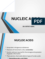 Nucleic Acids Lecture