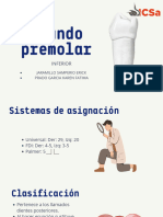 Segundo Premolar Inferior