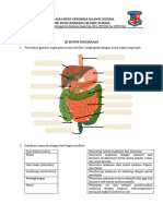 LK Sistem Pencernaan