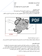 Dzexams 2as Sciences 3055313