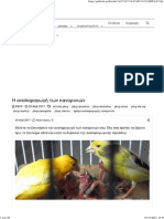 Η Αναπαραγωγή Των Καναρινιών - PetBirds