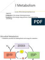 3 Basic Metabolism