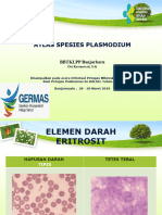 5.atlas Spesies Plasmodium