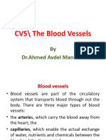 CVS/ The Blood Vessels: by DR - Ahmed Avdel Mandani