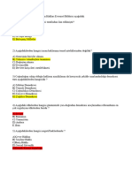 İnsan Hakları Ve Demokratikleşme Final