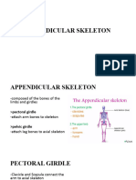 Appendicular Skeleton Radtech
