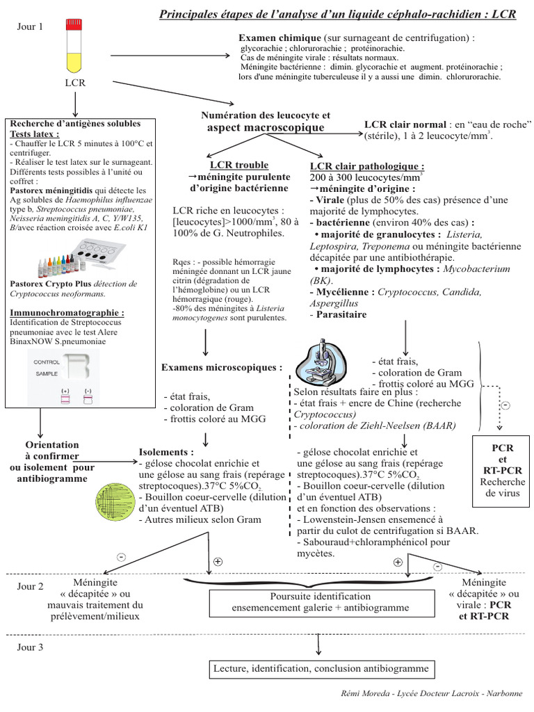 Analyse du LCR en cas de méningite | PDF | Méningite | Spécialités ...