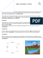 The Water Cycle