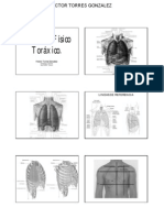 Examen Fisico Torax