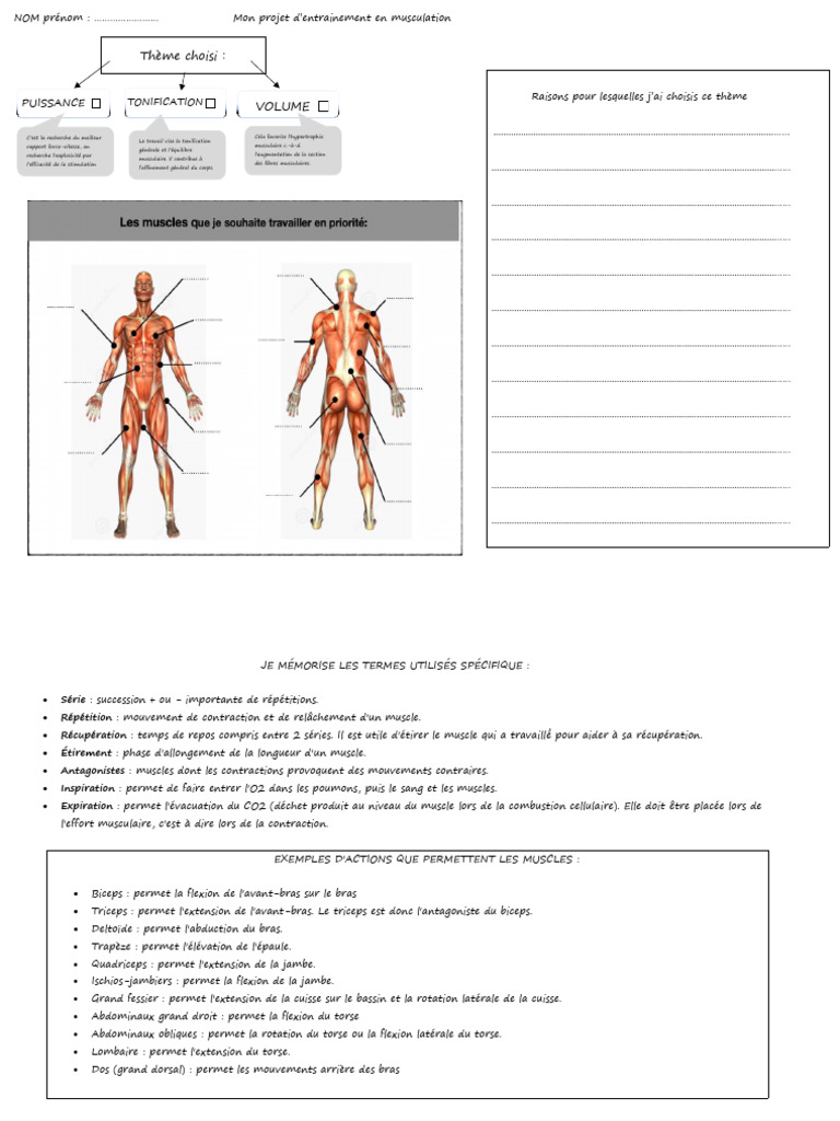 Quiz sur les muscles du bras : Triceps et innervation, image size:768x1024