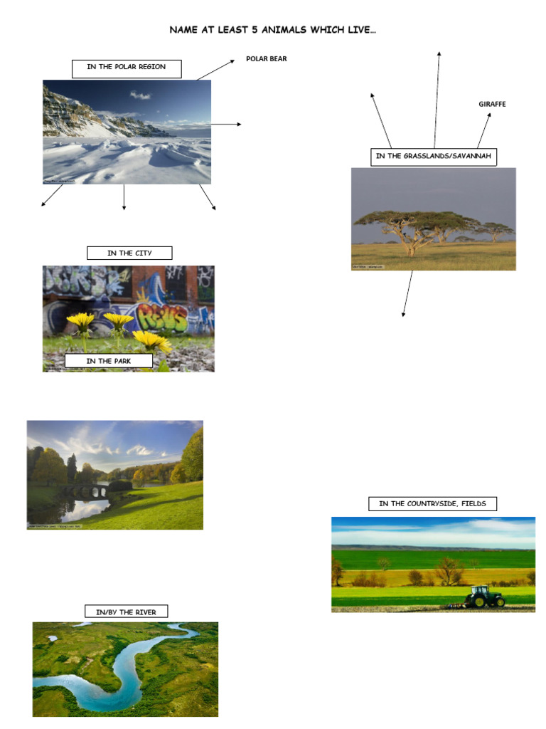 Eslprintables 20158155319559 PDF