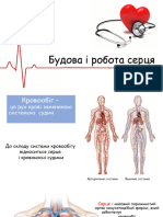 20-21. Будова і Робота Серця