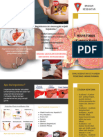 Leaflet Hepatoma