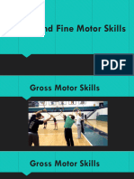 Gross and Fine Motor Skills - Intro